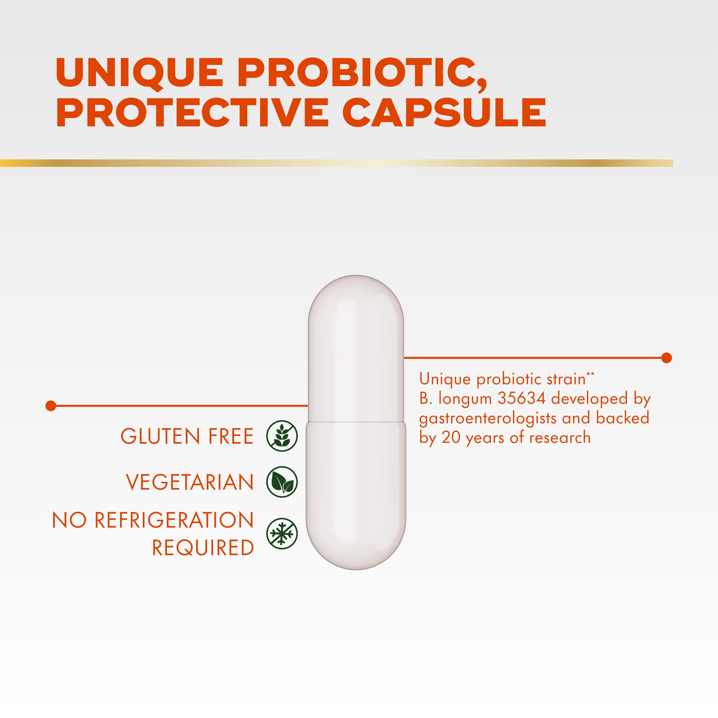 Align 24/7 Digestive Support*§ Probiotic Supplement